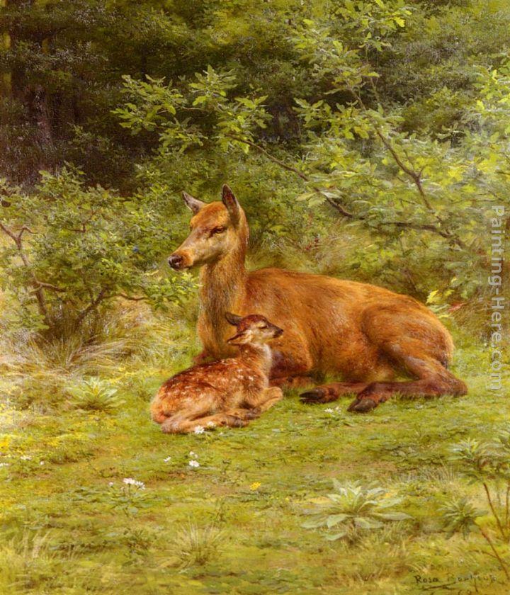 Rosa Bonheur Doe And Fawn In A Thicket